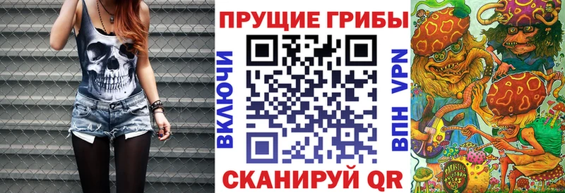 наркота Канск Галлюциногенные грибы прущие грибы